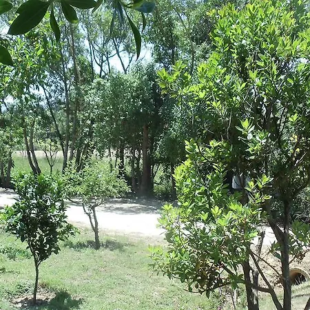 Casal Novo 4* São Martinho do Porto