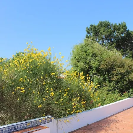 Holiday park Casal Novo Sao Martinho do Porto