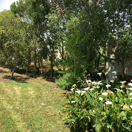 Casal Novo 4* Sao Martinho do Porto