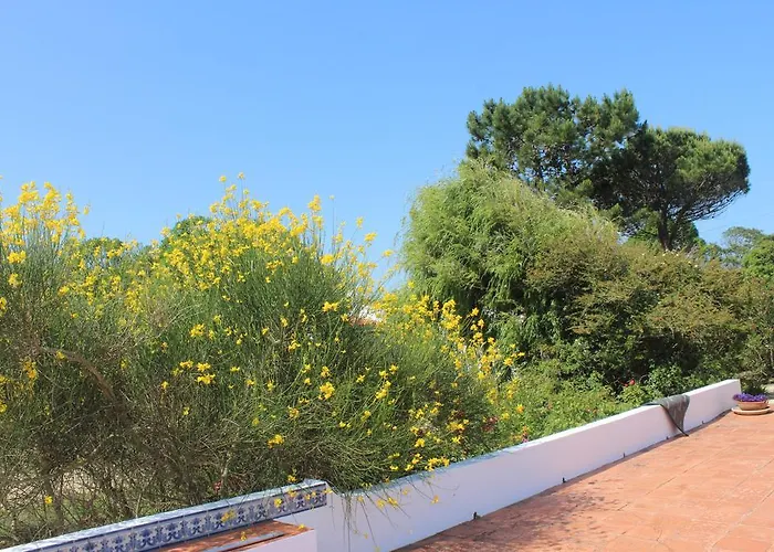 Parco vacanze Casal Novo São Martinho do Porto