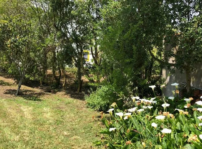 Casal Novo 4* סאו מרטיניו דו פורטו